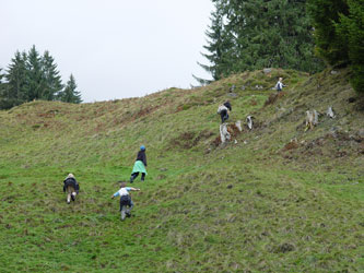 2009_betrieb_5